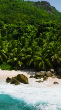 Palmiye ağaçları yoğun bir şekilde kıyı şeridini kaplayarak turkuaz dalgalarla dolu beyaz kumlu bir plaja ulaşır. Seyşeller, Mahe. Anse Capucins.