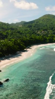 Palmiye ağaçları turkuaz sularıyla el değmemiş beyaz kumlu bir sahilin üzerine gölge düşürür. Baie Lazare. Seyşeller, Mahe.