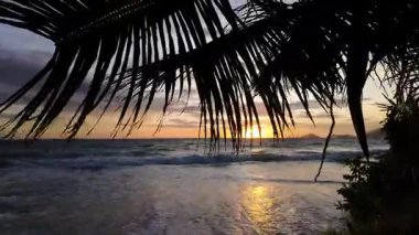 Palmiye yaprakları okyanusun üzerinde canlı bir günbatımını çerçeveliyor. Hafif dalgalar kıyıya vuruyor. Seyşeller, Mahe.
