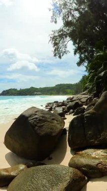 Kıyı şeridi köpüklü turkuaz dalgalarla altın kumun üzerinde süzülüyor, yoğun tropikal ormanlarla çerçevelenmiş. Anse Niyet. Seyşeller, Mahe.