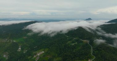 Dağlar ve tepeler bulutlarla kaplıdır. Dağ manzarası. Borneo, Sabah, Malezya.