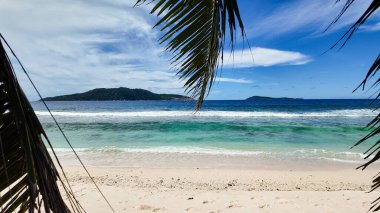 Dalgalı palmiye ağaçları, yumuşak kum ve ufukta uzanan turkuaz bir deniz ile nefes kesici tropikal bir sahil. Seyşeller, La Digue.