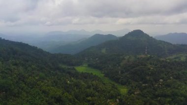 Yağmur ormanlarıyla kaplı dağ yamaçları ve tarım arazileri olan bir dağ vadisi. Kandy, Sri Lanka.