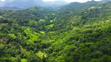 Sri Lanka 'nın dağlık bir bölgesinde yağmur ormanı ve tarım arazisi olan dağların havadan görünüşü.