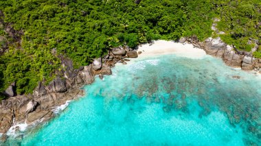 Zümrüt ormanı, kayalık bir kıyı şeridiyle kristal berrak bir körfezle buluşur ve sakin bir manzara yaratır. Seyşeller, Mahe.