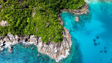 Kayalık kıyı yakınında, kayaların üzerinde yoğun yeşillik olan turkuaz su. Seyşeller, Mahe.
