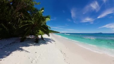 Tropikal palmiye ağaçları, yumuşak okyanus dalgaları ve güneşli bir gökyüzünün altında berrak turkuaz suyu olan parlak kumlu sahil. Seyşeller, La Digue.