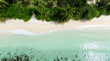 Yeşil palmiye ağaçlarıyla çevrili turkuaz suyu olan güzel kumlu bir sahil. Anse Forbans. Seyşeller, Mahe.
