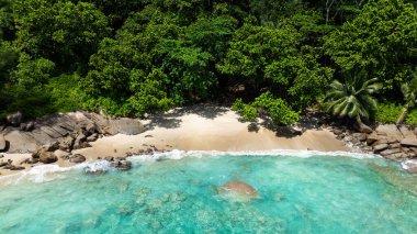 Bereketli yeşil tepelerle çevrili küçük, tenha kumlu bir sahil turkuaz sulara yol açıyor. Seyşeller, Mahe.