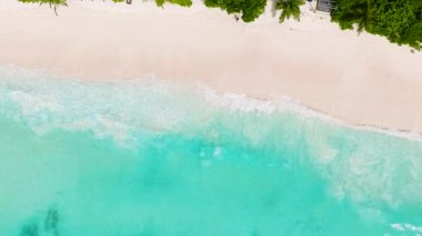 Kristal berraklığında suları ve yemyeşil bitkileri olan tropikal bir sahil manzarası. Seyşeller, Mahe. Küçük Anse.