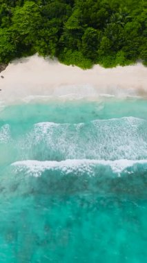 Yeşil tepeler ve mavi sularla çevrili Idyllic plajı. Seyşeller. Anse Du Riz plajı. Baie Ternay Deniz Ulusal Parkı.