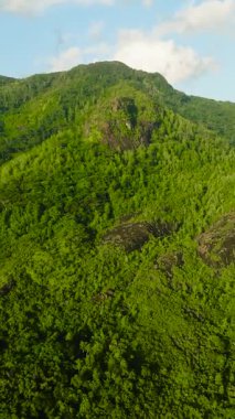 Yağmur ormanları ve ormanlarla kaplı dağ yamaçları. Seyşeller, Mahe.