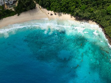 Plajlar güzel, altın rengi kumlar güneşin altında sıcak bir şekilde parlıyor, derin mavi denizle güzel bir tezat oluşturuyor. Seyşeller, Mahe. Anse Niyet Sahili.