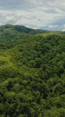 Yağmur ormanları ve bulutları olan dağların insansız hava aracı. Sumatra, Endonezya. Dikey video.