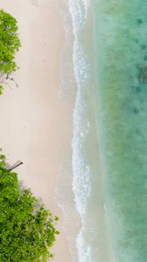 Bereketli yeşil bitki örtüsü ve turkuaz sularla kaplı beyaz kumlu bir sahil. Butzel Sahili. Seyşeller, Mahe.