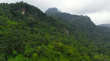 Aerial view of Tropical mountain range and mountain slopes with rainforest. Sri Lanka.