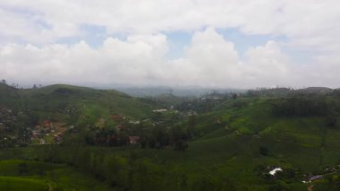 Çay tarlaları arasındaki köy manzarası. Çiftçi evleri çay yetiştiriyor. Çay evi manzarası. Maskeliya.