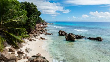 Kıyıda büyük granit kayalar olan tenha bir sahili kaplayan palmiye ağaçları. La Digue, Seyşeller.