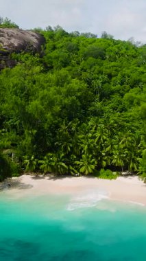 Sahile ulaşan yoğun yeşil yapraklar ve turkuaz deniz sularıyla çevrili granit kayalar. Seyşeller, Mahe. Anse Soleil Plajı.