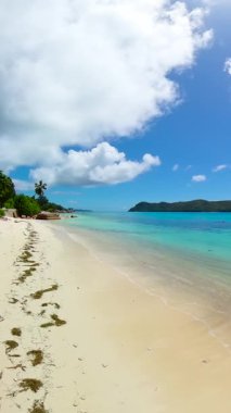 Berrak turkuaz suyu, altın kumu ve yoğun yeşil bitki örtüsü olan tropikal bir kıyı şeridi. Seyşeller, Praslin.