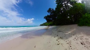 Yeşillik ve okyanus dalgalarının kıyıya vurduğu sakin kumlu bir sahil. Seyşeller, Mahe. Anse Louis.