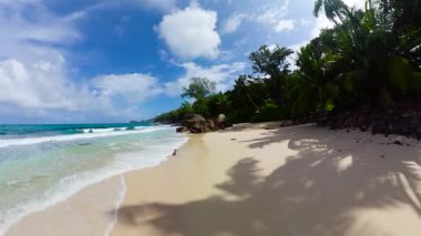 Parlak bir gökyüzünün altında yemyeşil palmiye ağaçları ve nazik dalgaları olan altın kumsal. Seyşeller, Mahe. Anse Takamaka.