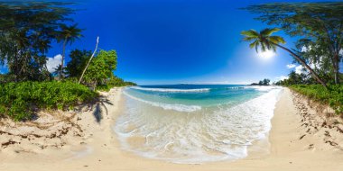 Sandy beach with lush greenery and palm trees, accompanied by calm ocean waves under a clear sky. Praslin, Seychelles. Constance Lemuria Beach. 360 Degree view. clipart