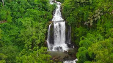 Tropik dağ ormanlarında Şelale 'nin hava aracı. Vernon Dağı, Sri Lanka.