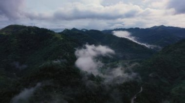 Karanlık çöktüğünde ormanı ve sisi olan mistik dağ yamaçlarının zirvesi..