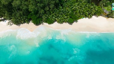 Dalgalar tenha tropik bir plajın kumlu sahilinde yavaşça kıyıya vurur. Seyşeller, Mahe. Anse Soleil Plajı.