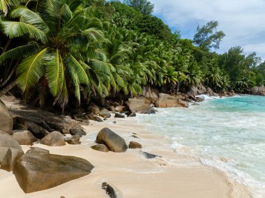 Büyük kayaları ve kıyı boyunca canlı yeşil palmiye ağaçları olan tropik bir sahil. Anse Niyet. Seyşeller, Mahe.