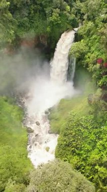 Ormandaki en iyi şelale manzarası. Telun Berasap Şelalesi yağmur ormanlarında. Sumatra, Jambi, Endonezya. Dikey video.