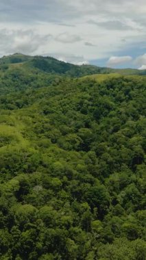 Yağmur ormanları ve bulutları olan dağların insansız hava aracı. Sumatra, Endonezya. Dikey video.