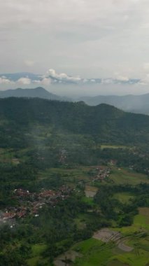 Tarım arazisi ve yeşil ormanlı dağlar. Tropik bölgelerdeki tarım arazileri. Bukittinggi, Sumatra. Endonezya 'da. Dikey video.