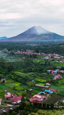 Gün batımında Sinabung Dağı ve tarım arazisinin hava aracı. Sumatra, Endonezya. Dikey video.