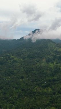 Dağların yamaçlarındaki tropik yeşil orman ve ormanın havadan görünüşü. Zenciler, Filipinler