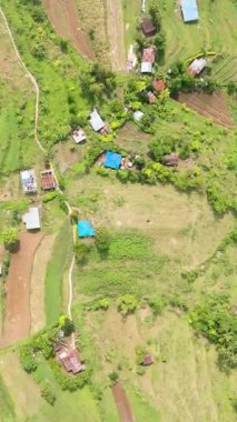 Tepelerin yamaçlarında tarım arazisi olan terasların insansız hava aracı. Zenciler, Filipinler