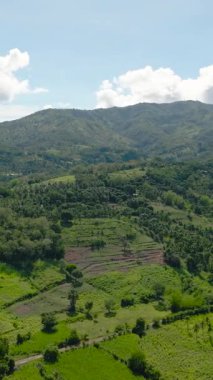 Tarlalar, pirinç tarlaları ve yeşil ormanlı dağlar. Zenciler, Filipinler
