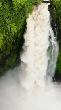 Yeşil ormandaki şelalenin havadan görünüşü. Telun Berasap Şelalesi ormanda. Sumatra, Jambi, Endonezya. Dikey video.