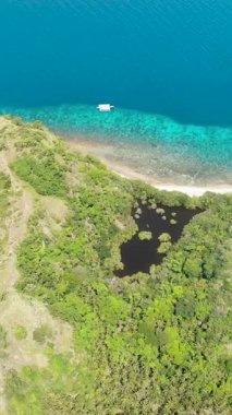 Tropiklerde plaj ve mercan resifleri olan bir sahil. Apo Adası. Zenciler, Filipinler.