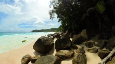 Kıyı şeridi köpüklü turkuaz dalgalarla altın kumun üzerinde süzülüyor, yoğun tropikal ormanlarla çerçevelenmiş. Anse Niyet. Seyşeller, Mahe.