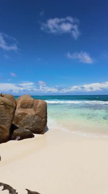 Palmiye ağaçları ve mavi gökyüzünün altında berrak bir okyanus manzarası olan kumlu bir sahil. Seyşeller, Mahe.