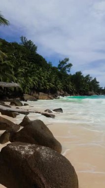 Palmiye ağaçları kayalık bir kıyıda, dalgalar sahile vuruyor. Anse Niyet. Seyşeller, Mahe.