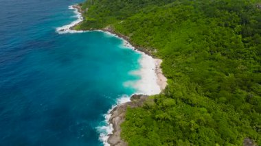 Beyaz kumlu sahil, yeşil ormanlık sahil şeridi boyunca turkuaz sularla karşılaşıyor. Seyşeller, Mahe.