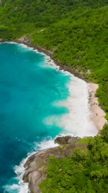 Beyaz kumlu sahil, yeşil ormanlık sahil şeridi boyunca turkuaz sularla karşılaşıyor. Seyşeller, Mahe.