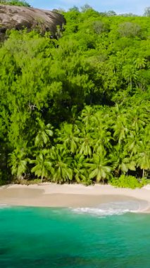 Kayalık uçurumlar ve yemyeşil yemyeşil sularla çevrili turkuaz suları olan tropikal bir sahil. Seyşeller, Mahe.