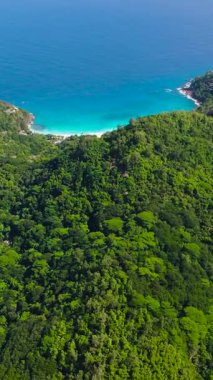 Yoğun orman manzarası, temiz suları ve beyaz kumları olan gizli bir turkuaz koyda sona eriyor. Seyşeller, Mahe.
