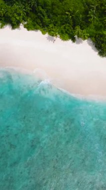 Sahil şeridi boyunca yumuşak sörf ve canlı tropikal yapraklarla dolu. Seyşeller, Therese Adası.