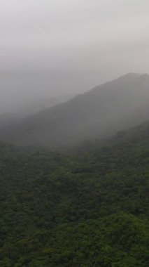 Yukarıdan ormanla kaplı dağ zirveleri. Dağlar yağmur ormanlarını kapladı. Filipinler.