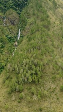 Yeşil ormanlı dağların arasında şelale. Sitapigagan Şelalesi. Sumatra. Samosir, Endonezya. Dikey video.